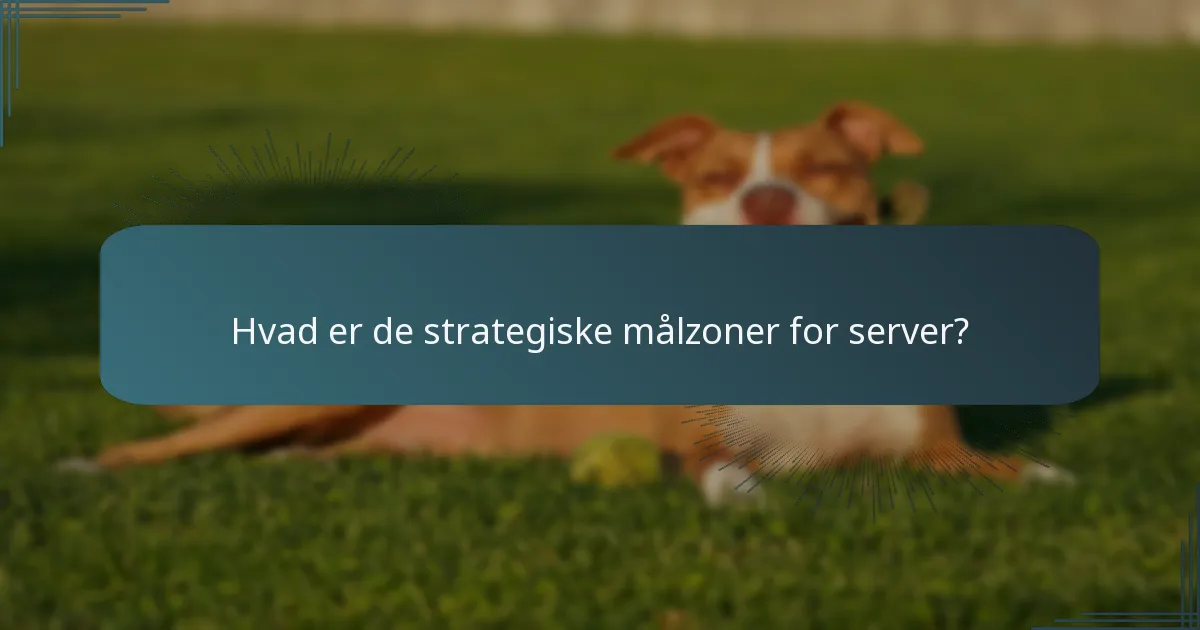 Hvad er de strategiske målzoner for server?