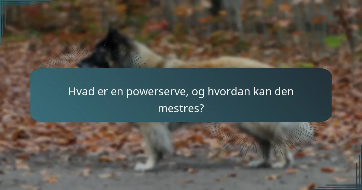 Hvad er en powerserve, og hvordan kan den mestres?