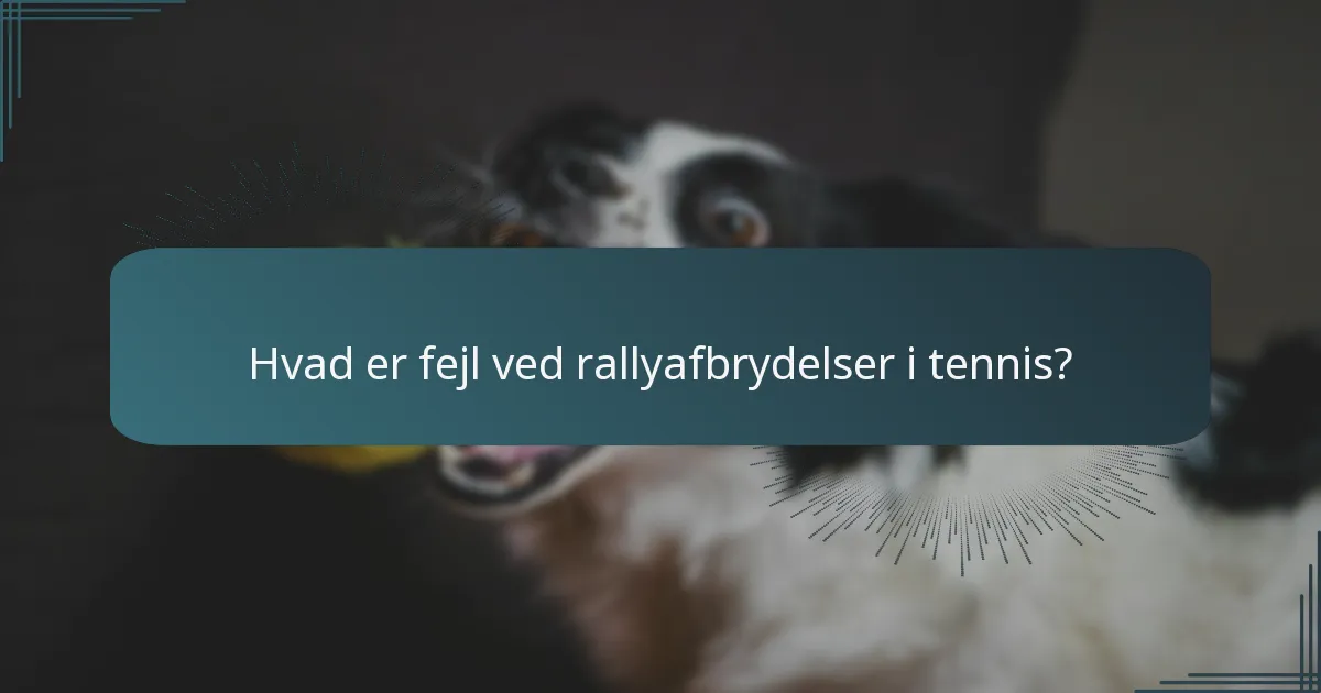 Hvad er fejl ved rallyafbrydelser i tennis?