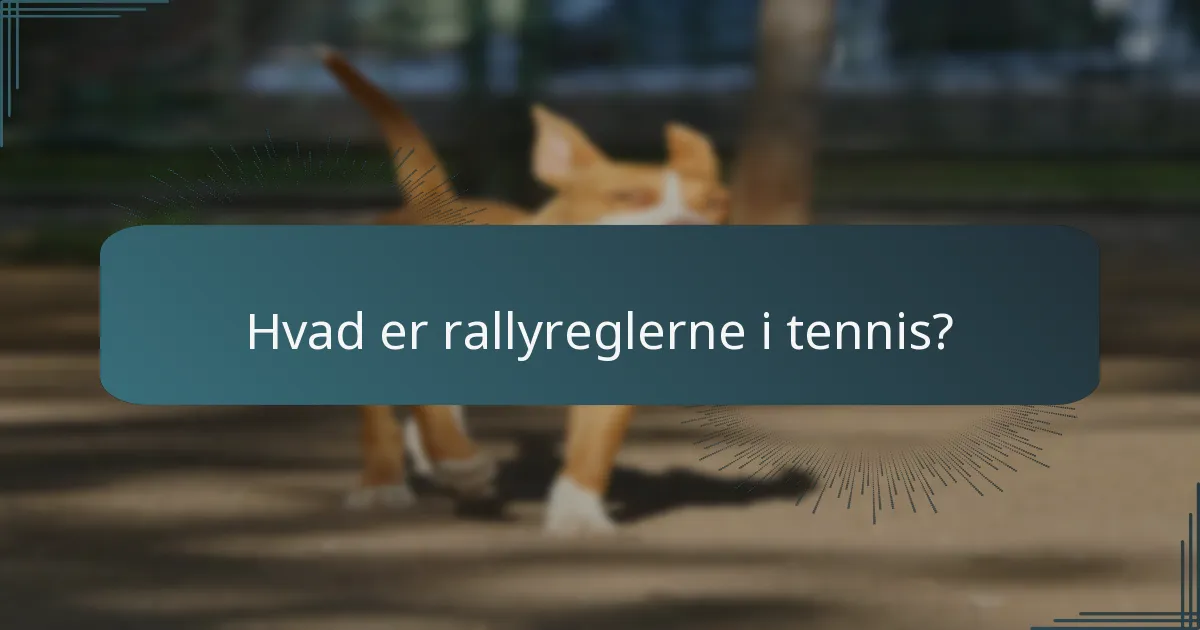 Hvad er rallyreglerne i tennis?