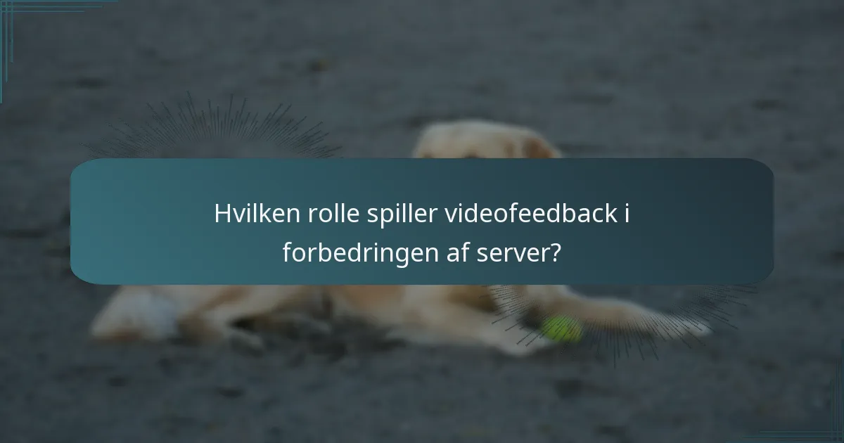 Hvilken rolle spiller videofeedback i forbedringen af server?