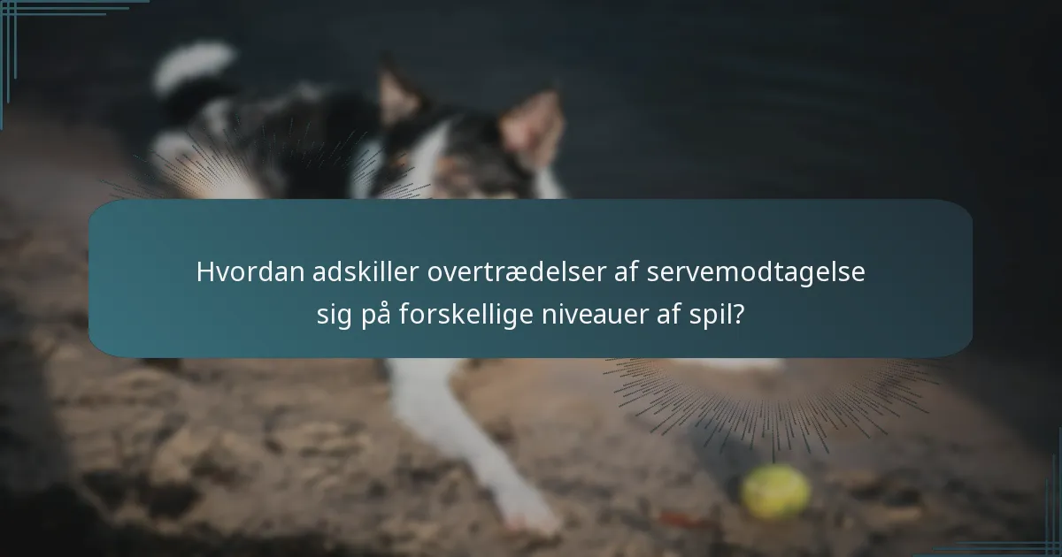 Hvordan adskiller overtrædelser af servemodtagelse sig på forskellige niveauer af spil?